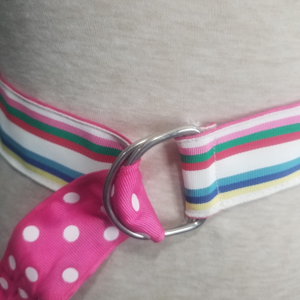 Colorful  Reversible Ribbon Belt - Picture 4 of 6